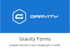 Gravity Forms for AMP Plugin